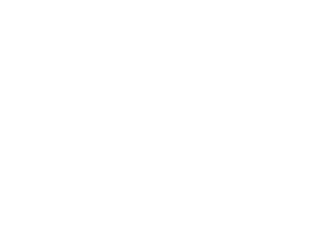 谷歌