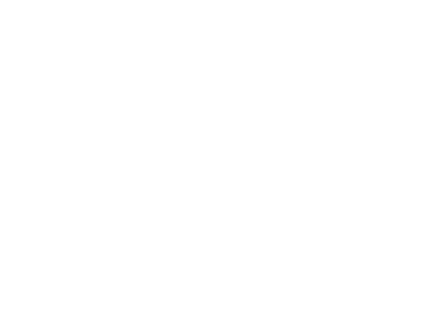DeepSeek