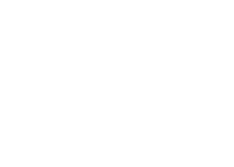 海光