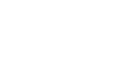 平头哥-新