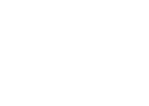 英伟达