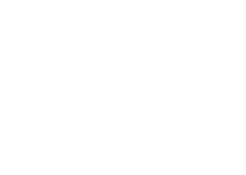 中国人寿
